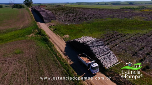 DOS EÓLICOS VIRA P FAZENDA_Moment.00_00_37_21.Quadro312_0b527bc3425444a56c88d6dac4dfa363f137aee8.jpg